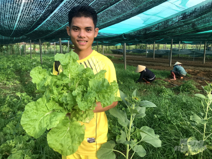 Anh Nguyễn Hưng Công với 1 trong 36 loại rau trồng trong trang trại của mình. Ảnh: Vũ Đình Thung.