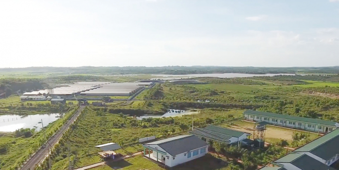 Toàn cảnh khu chăn nuôi ứng dụng công nghệ cao của hai Tập đoàn De Heus và Hùng Nhơn.