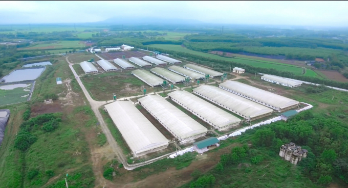 Chuồng trại hiện đại và khép kín của khu chăn nuôi lợn ứng dụng công nghệ cao của Tập đoàn Hùng Nhơn.