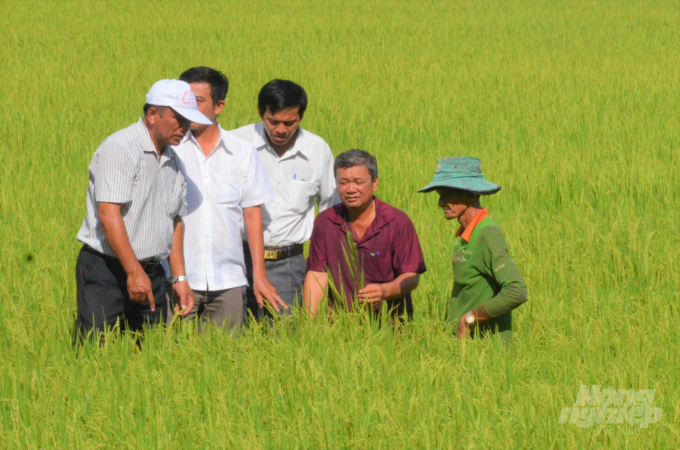 Nông dân Tiền Giang rất hào hứng tham dự các lớp tập huấn trồng lúa tiên tiến do dự án VnSAT tổ chức, trong đó có không ít lão nông cần mẫn. Ảnh: Minh Đãm.