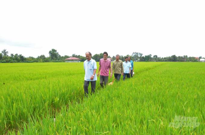 Nông dân Tiền Giang hào hứng tham dự các lớp tập huấn trồng lúa tiên tiến do dự án VnSAT tổ chức, trong đó có không ít lão nông cần mẫn. Ảnh: Minh Đãm.