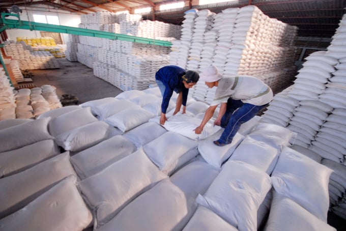 Bộ NN-PTNT chính thức triển khai cấp chứng nhận chủng loại gạo thơm cho các doanh nghiệp xuất khẩu sang EU kể từ ngày 4/9/2020. Ảnh: TL