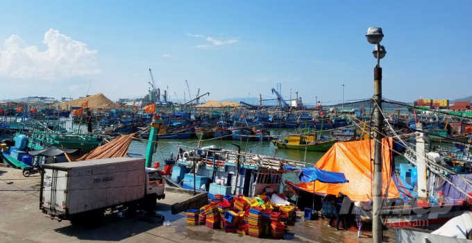 Tàu cá của ngư dân Bình Định neo đậu tại cảng cá Quy Nhơn. Ảnh: Vũ Đình Thung.
