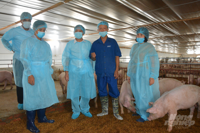 Lãnh đạo UBND tỉnh Nam Định tham quan và kiểm tra công tác tái đàn lợn ở một trang trại đang chăn nuôi theo mô hình kinh tế tuần hoàn nông nghiệp. Ảnh: Mai Chiến.