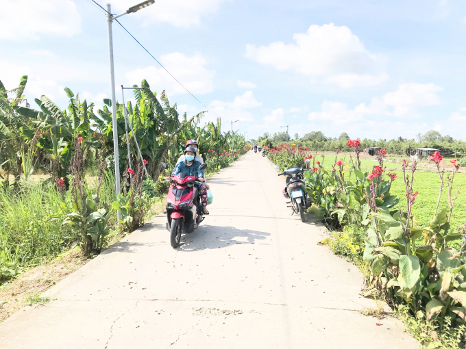 Đường sá thuận tiện tại xã nông thôn mới Thuận An. Ảnh: Minh Đảm.