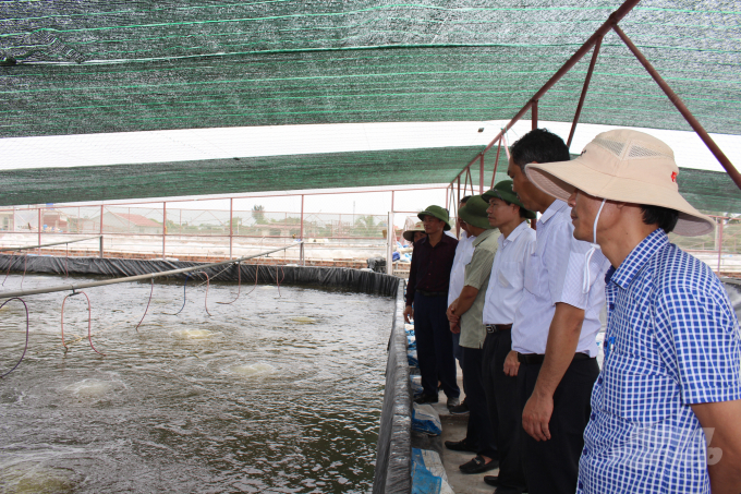 Lãnh đạo UBND tỉnh Nam Định, Sở NN-PTNT Nam Định tham quan trang trại chăn nuôi tôm thẻ chân trắng ở huyện Giao Thủy. Ảnh: Mai Chiến.