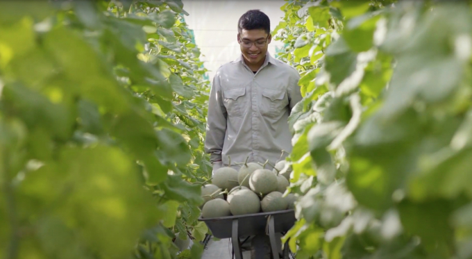 Hà Nam đang thu hút các doanh nghiệp đầu tư nông nghiệp công nghệ cao, để biến mỗi tấc đất thành 'tấc vàng'. Ảnh: Minh Phúc.