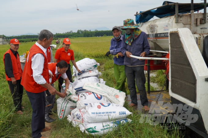 Nhiều hội đoàn thể địa phương chung tay cùng nông dân gặt lúa để kịp thời phòng chống bão. Ảnh: Công Điền.
