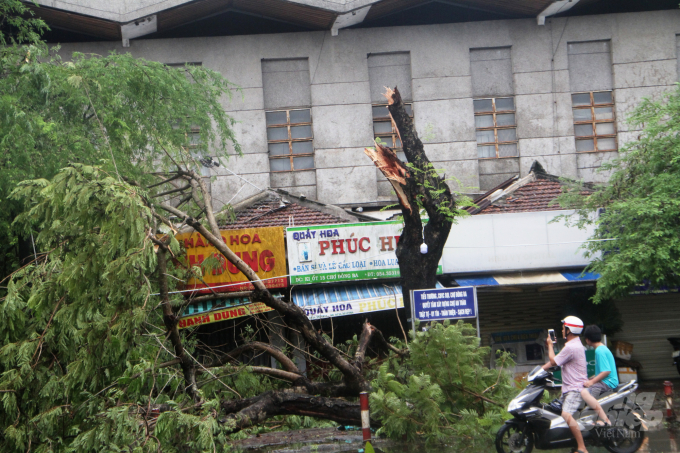 Sau khi đổ bộ vào đất liền bão số 5 gây thiệt hại nặng nề ở tỉnh Thừa Thiên-Huế. Ảnh: Tiến Thành.