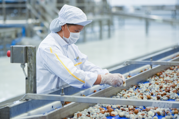 Công nhân trong Nhà máy chế biến hoa quả tươi và thảo dược Vân Hồ tại Sơn La của Tập đoàn TH làm việc khi vận hành thử dây chuyền. Ảnh: Tùng Đinh.
