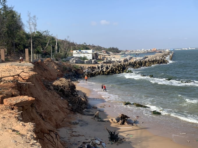 Tình trạng sạt lở bờ biển ở Bình Thuận ngày càng diễn ra quy mô lớn. Ảnh: HP.
