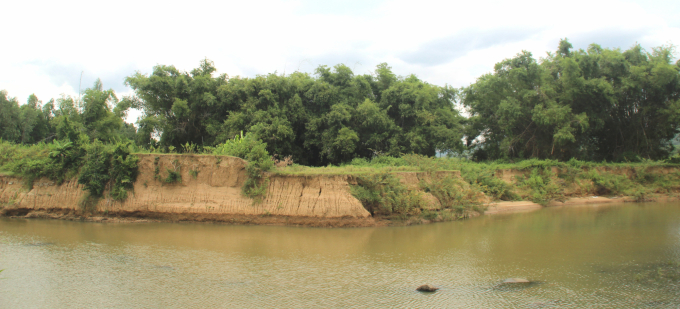 Nhiều diện tích đất sản xuất của người dân xã Tây Thuận (huyện Tây Sơn, Bình Định) bị trôi tuột xuống sông. Ảnh: Vũ Đình Thung.