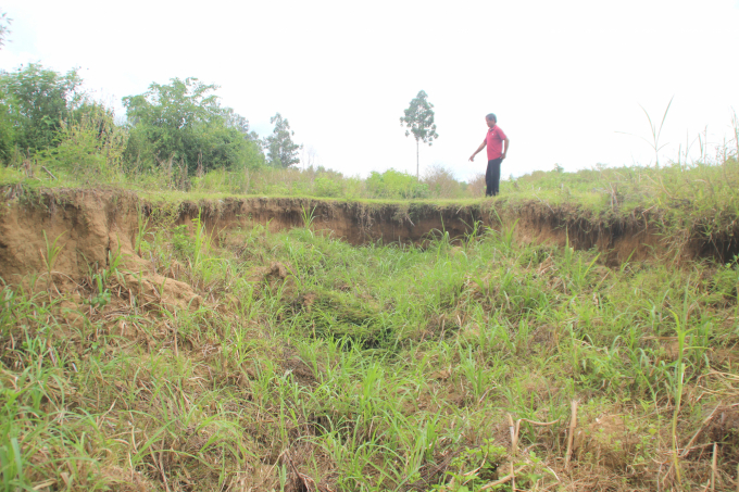 Cánh đồng này trước đây là cứu cánh của người dân thuần nông xã Tây Thuận (huyện Tây Sơn, Bình Định), nhưng giờ bị sạt lở phải bỏ hoang. Ảnh: Vũ Đình Thung.