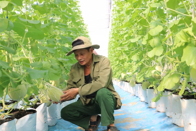 Hưng Yên hiện có 224 dự án của doanh nghiệp (DN) đầu tư vào lĩnh vực nông nghiệp, nông thôn còn hiệu lực với tổng vốn đầu tư đăng ký khoảng gần 18 nghìn tỷ đồng. Ảnh: HG