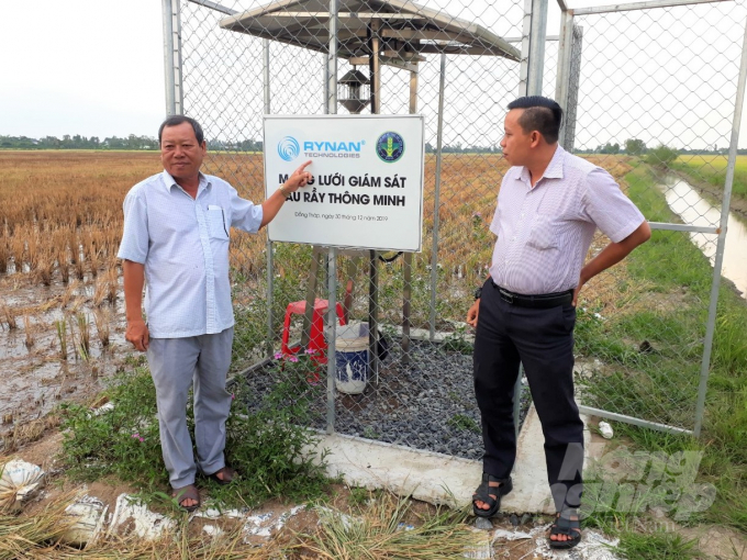 Mạng lưới giám sát sâu, rầy thông minh do dự án VnSAT đầu tư cho nông dân huyện Hồng Ngự, Đồng Tháp, giúp canh tác lúa hiệu quả hơn. Ảnh: Trung Chánh.