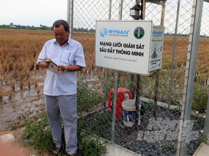 Mạng lưới giám sát sâu, rầy thông minh do dự án VnSAT đầu tư cho nông dân huyện Hồng Ngự, Đồng Tháp, giúp canh tác lúa hiệu quả hơn. Ảnh: Trung Chánh.