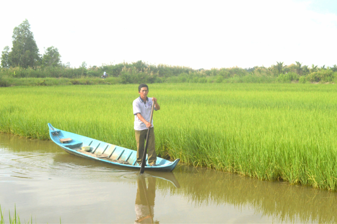 Vùng U Minh Thượng, tỉnh Kiên Giang đã chuyển đổi gần 100 ngàn ha đất lúa sang tôm – lúa, trở thành điểm sáng trong phát triển kinh tế. Ảnh: Đ.T. Chánh.