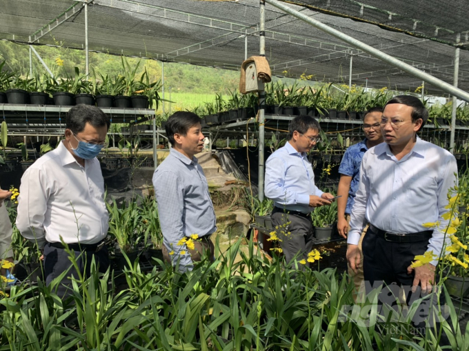 Lãnh đạo tỉnh Quảng Ninh đến thăm mô hình nông nghiệp tiêu biểu ở huyện biên giới Bình Liêu. Ảnh: Anh Thắng.