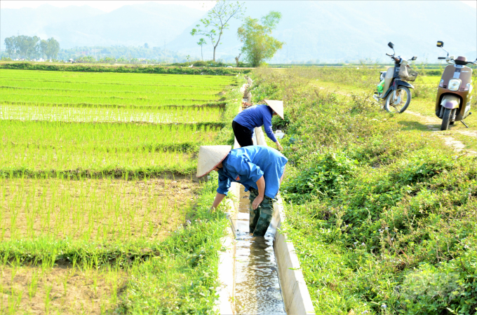 Hệ thống kênh mương được kiên cố giúp người dân ở Tuyên Quang chủ động được nguồn nước trong sản xuất. Ảnh: Đào Thanh.