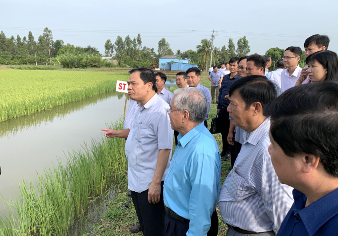 Bộ trưởng Bộ NN-PTNT Nguyễn Xuân Cường thăm vùng lúa-tôm, mô hình chuyển đổi SX lúa giá trị cao ở Sóc Trăng. Ảnh: HĐ.