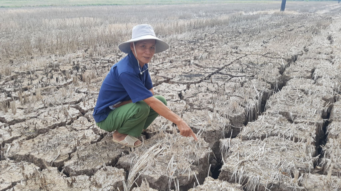 Tỉnh Cà Mau vừa đối mặt mùa khô 2019 - 2020 khóc liệt nhất lịch sử. Ảnh: Trọng Linh.
