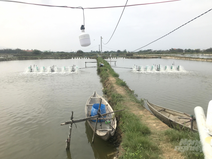 Hầu hết diện tích nuôi tôm ở vùng nuôi an toàn sinh học Đông Điền, xã Phước Thắng (huyện Tuy Phước) đều bị dịch bệnh tấn công cả 2 vụ nuôi trong năm 2020. Ảnh: Vũ Đình Thung.