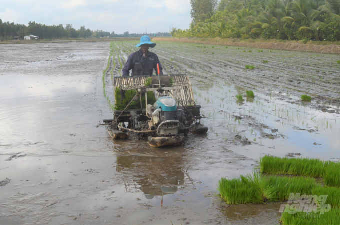 Cơ giới hóa trong khâu gieo cấy lúa tại huyện Tân Hiệp, tăng hiệu quả kinh tế, tăng thu nhập, góp phần phát triển nông nghiệp bền vững. Ảnh: Trung Chánh.