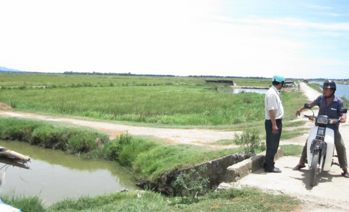 Những tuyến đường giao thông nội đồng được quy hoạch, kiến thiết bài bản và có tác dụng lớn cho sản xuất.Ảnh: B. Châu.