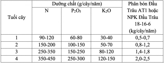 Bảng 1 - Liều lượng dưỡng chất N, P2O5 và K2O và bón phân cho bưởi còn tơ. Ảnh: Nguyễn Bảo Vệ.