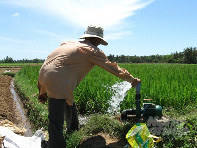 Áp dụng các quy trình IPM và  ICM, nông dân biết tưới nước hợp lý nhằm giảm ô nhiễm môi trường, tiết kiệm nguồn nước. Ảnh: Vũ Đình Thung.