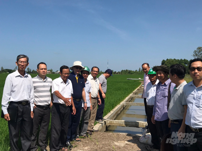 Hệ thống cống nổi được dự án VnSAT đầu tư cho các tổ chức nông dân trên địa bàn tỉnh Kiên Giang, giúp chủ động trong việc tưới tiêu, giảm chi phí. Ảnh: Trung Chánh.