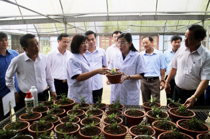Bà Nguyễn Thanh Hải (Bí thư Tỉnh ủy tỉnh Thái Nguyên) thăm mô hình sản xuất nông nghiệp. Ảnh: Đồng Văn Thưởng.