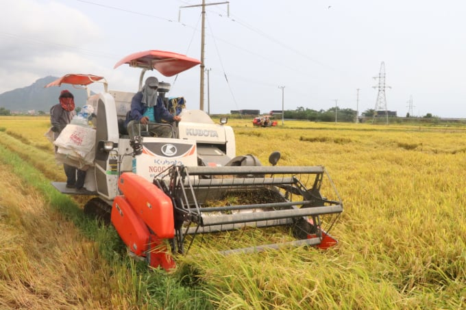 Vụ lúa ĐX 2019-2020, tỉnh Phú Yên được mùa nhất từ trước đến nay. Ảnh: K.S.