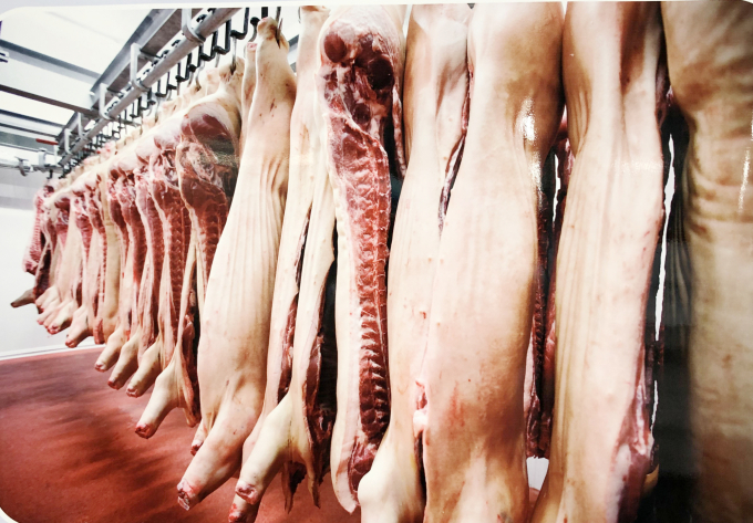 MML tiếp tục đầu tư xây dựng Tổ hợp chế biến thịt MEATDeli Sài Gòn tại tỉnh Long An nhằm phục vụ nhu cầu sản phẩm thịt tươi ngon, dinh dưỡng ngày càng gia tăng của hàng chục triệu người dân TP Hồ Chí Minh và các tỉnh lân cận. Ảnh: AV.