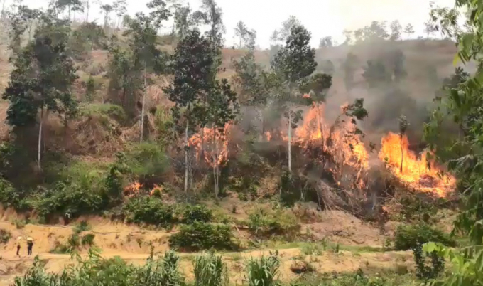 Hiện trường vụ đốt, phá rừng ở Khánh Thành, huyện Khánh Vĩnh. Ảnh: CT