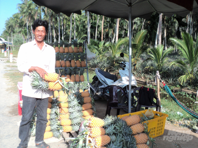 Khóm Tắc Cậu, sản phẩm nông nghiệp chủ lực của huyện Châu Thành, đã được chứng nhận nhàn hiệu tập thể, mang lại nguồn thu nhập tốt cho nông dân. Ảnh: Trung Chánh.