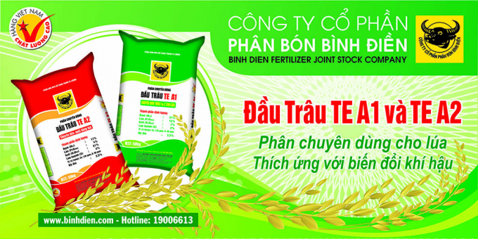 Những vùng chuyên canh lúa, làm lúa 3 vụ, bà con có thể áp dụng qui trình bón phân Đầu Trâu cân đối, tiết kiệm. Ảnh: Phan Nam.