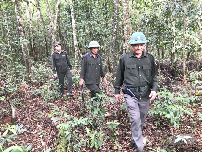 Những người lính bảo vệ rừng của Công ty Lâm nghiệp Sông Kôn đi tuần tra rừng. Ảnh: Vũ Đình Thung.