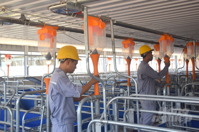 Công nhân đang hoàn thiện những công đoạn đầu tư giai đoạn 2 và 1 nửa giai đoạn 3 của Trại heo giống công nghệ cao Việt Thắng Bình Định. Ảnh: Vũ Đình Thung.