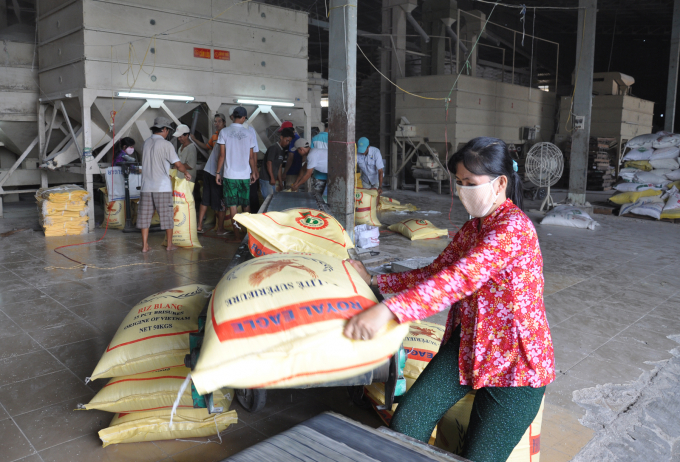 Hoạt động chế biến xuất khẩu gạo của DN ở vùng ĐBSCL. Ảnh: HĐ