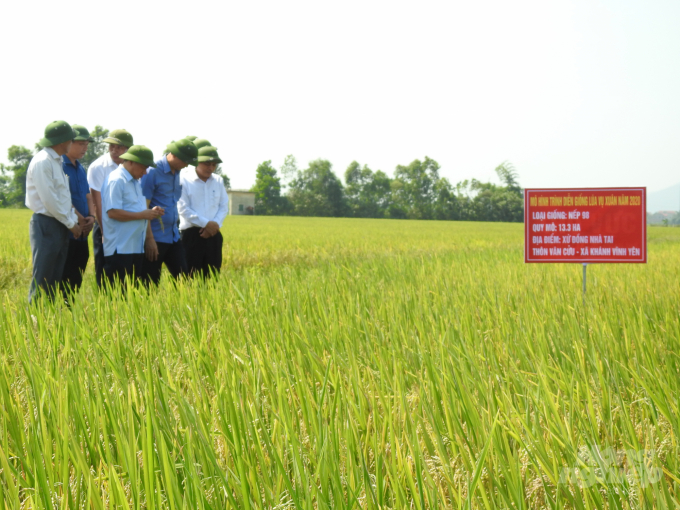 Chính sách ban hành kịp thời đã giúp các địa phương trên địa bàn Hà Tĩnh mở rộng quy mô, số lượng các mô hình trồng trọt, chăn nuôi mang lại hiệu quả kinh tế cao. Ảnh: Thanh Nga.