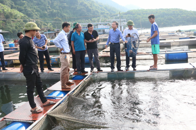 Các đại biểu tham quan mô hình nuôi cá lồng tại lòng hồ sông Đà trên địa phận xã Hòa Bình, TP Hòa Bình. Ảnh: HG