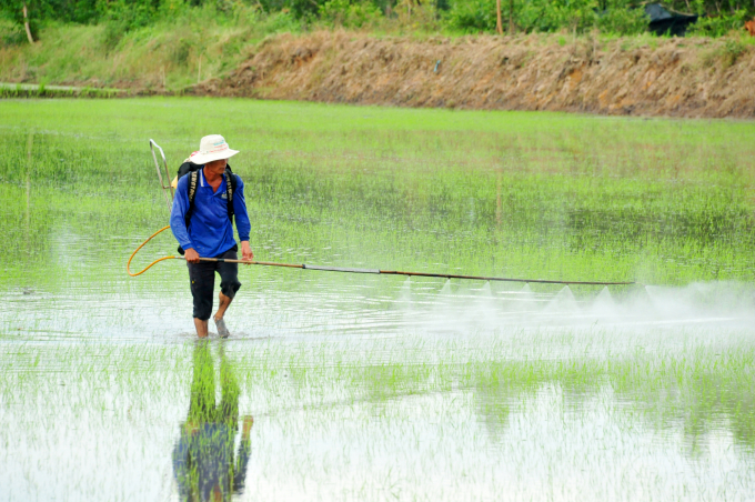 Nhờ được tập huấn về kỹ thuật '3 giảm, 3 tăng', '1 phải, 5 giảm', nông dân đã giảm được từ 2-3 lần phun thuốc bảo vệ thực vật/vụ, giảm chi phí đầu tư, bảo vệ tốt môi trường. Ảnh: Hoàng Vũ.