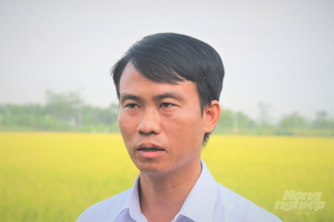 Ông Nguyễn Văn Quân, Giám đốc Trung tâm giống nông nghiệp tỉnh Vĩnh Phúc, đánh giá cao giống lúa VNR20. Ảnh: Phạm Hiếu.