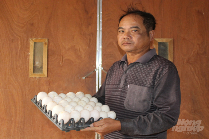 Trứng sạch của gia đình ông Mai Văn Sơn được chọn là sản phẩm OCOP cấp huyện, đạt hạng 3 sao. Ảnh: Mai Chiến.