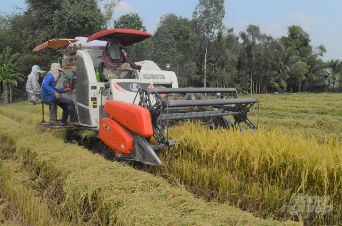 Tham gia dự án VnSAT, HTX Thạnh Hòa được đầu tư máy máy gặt đập liên hợp làm dịch vụ thu hoạch và sau thu hoạch có 2 lò sấy công suất 8 tấn/mẻ, góp phần giảm thất thoát, tăng chất lượng lúa gạo. Ảnh: Trung Chánh.