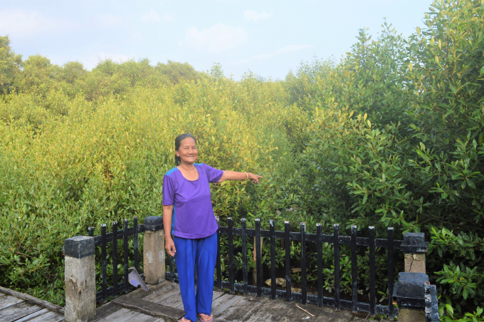 Bà Nguyễn Thị Thu đứng trước cánh rừng ngập mặn 'lá chắn xanh' bảo vệ đê biển, tài sản, tạo sinh kế cho người dân trong khu vực. Ảnh: Trung Chánh.