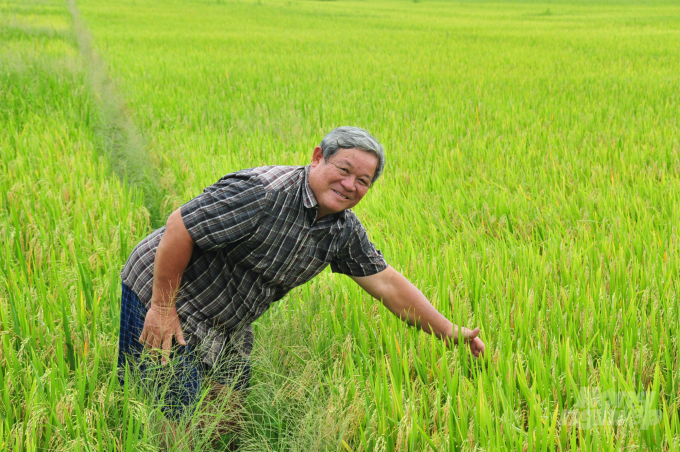VnSAT Cần Thơ thực hiện tại 4 huyện trọng điểm trồng lúa là Vĩnh Thạnh, Cờ Đỏ và Thới Lai và quận Thốt Nốt. Ảnh: Lê Hoàng Vũ.