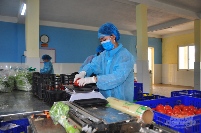 Hợp tác xã An Phú đang hướng đến sản xuất nông nghiệp hữu cơ, xuất khẩu. Ảnh: Minh Hậu.