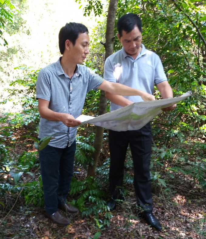 Lê Duy Khánh (bên trái) và đại diện đơn vị tư vấn kiểm tra thực địa, chuẩn bị cấp chứng chỉ FSC